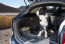 Гумена стелка за багажник Frogum Pro-Line за Citroen C4 Grand Picasso (2013-2018) 7 места при спуснат 3-ти ред седалки - Avtozona