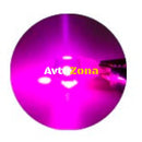 LED Лед Диодни Крушки За Габарит Т10 W5W 5 SMD 12V Лилава - Avtozona